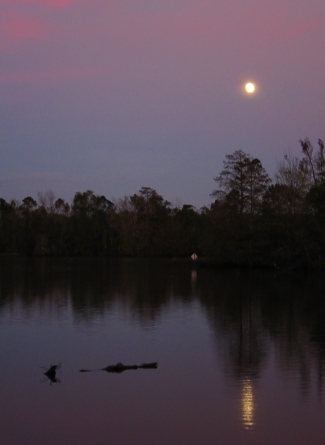 Poor Clio Lake Fausse Pointe Moon